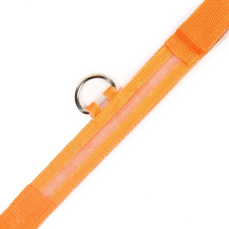 Collar with backlight size S, Osh 35-43 x 2.5 cm, 3 lumines of the glow orange-8