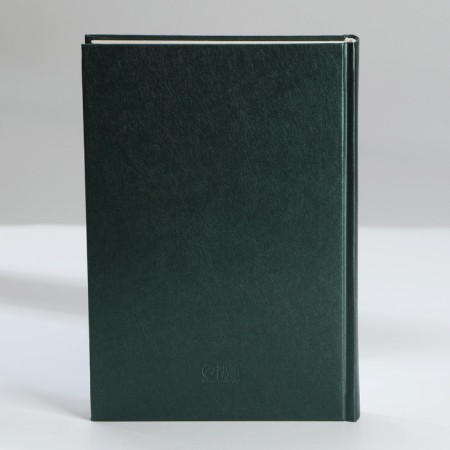 Deliciper of Leduced A5, 160 liters. Solid cover. Leatherette. Green. Cream block-10