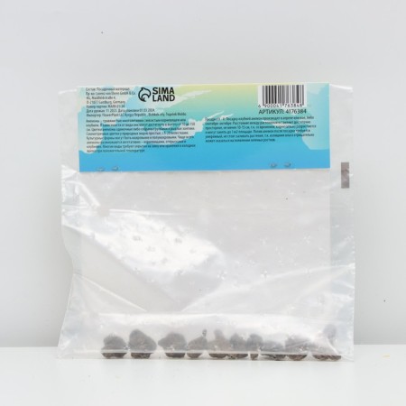 ANEMONA CORRENTE "Bikolor", 4/5, 10 pcs, spring 2024-1