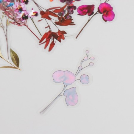 Stickers for creativity PVC "Flora" set 40 pcs 9x10.5 cm-3