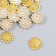 Decor for creativity Plastic "Flower-Solnz Purvator" set 20 pcs 1.4x1.4x0.4 cm