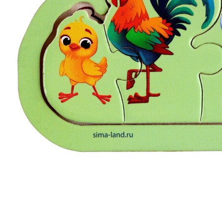 Puzzles on the substrate "Bird"-5