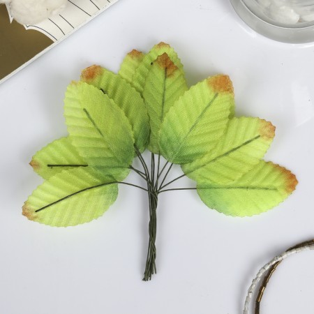 Decor for creativity "Birch Birch" Autumn (1 set = 1 bouquet) in the bouquet 12 pcs
