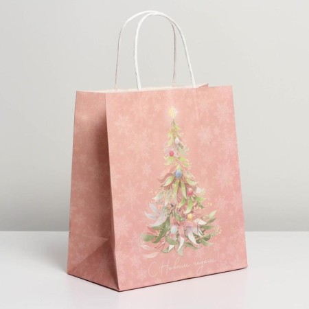 Package Gift Craft "New Year Dreams", 22 x 25 x 12 cm, New Year-1