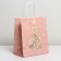 Package Gift Craft "New Year Dreams", 22 x 25 x 12 cm, New Year