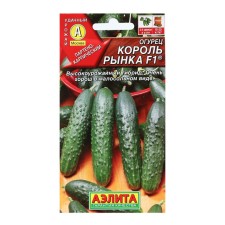 Seeds of cucumber 