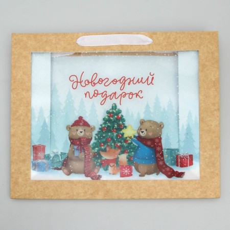 Craft Plaft with a plastic window "Gift", 31 x 26 x 11 cm, New Year-5