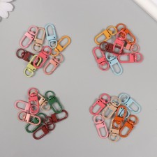 Carabiner Metal with a ring 