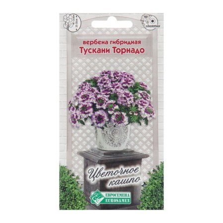 Verben Flowers Hybrid "Tuskani Tornado", 8 pcs