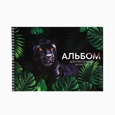 Album for drawing 40 A4 sheets on the spring “September 1: Panther” cover 200 g/m2, paper 100 g/m2.-1