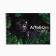Album for drawing 40 A4 sheets on the spring “September 1: Panther” cover 200 g/m2, paper 100 g/m2.