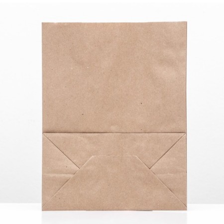 Paper package, packing, craft, rectangular bottom, 22 x 12 x 29 cm-1