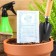 Seeds of cucumber "April" F1, parthenocarpic, b/p, 0.25 g