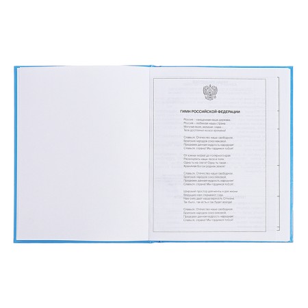 Diary for grades 5-11, 48 sheets "Inspiration!", Firm cover, glossy lamination, block 60 g/m2-3