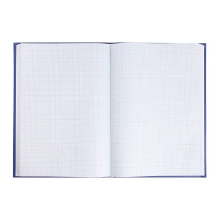 Book of accounting, 192 sheets, boumvinyl cover, newspaper block, cage, blue color-3