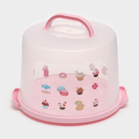 A dish for a cake and cakes with a lid of a share, 30.5 × 21.5 cm, color mix-6