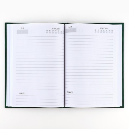Diary in a gift box "For important thoughts and grandiose ideas", firm cover, A5, 80 sheets-5