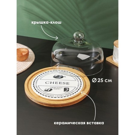 Bellatenero lid "Cheese", D = 25 cm-1