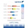 A set of polyurethane floats Salmo PU carp in a 5pcs tube. individual packing