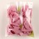 Flower with petals, leaflet, fabric, set of 8 pcs., Pink color