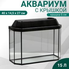 Aquarium 