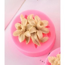 Molds Silicon 