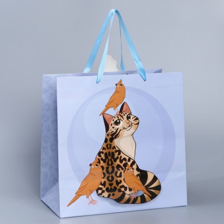 Gift package, packaging, "cat", 30 x 30 x 15 cm-2