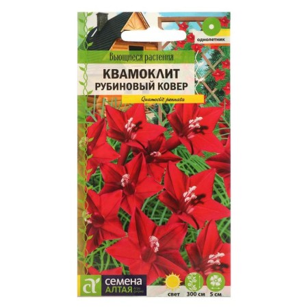 Flower seeds kvammolit "Rubin carpet", periy, sed. ALT, c/p, 0.2 g