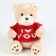 Soft toy "Bear" in a jacket, 25 cm
