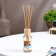 Fragrant Modern Diffusor, 50 ml, coconut, "wealth of aroma"