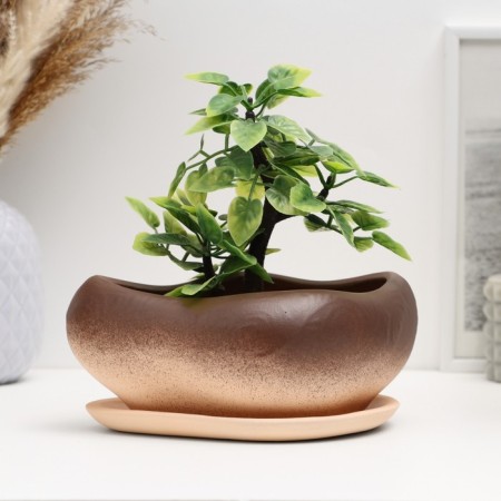 Bonsai Small pot of brown, 17x14x8cm
