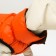 Dog jacket two -sided with a collar, ds 24, Osh 24, og 40, orange/green