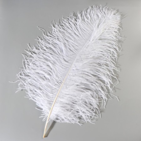 Perum Premium feather 70-75 cm, white-1