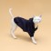 Sweep for animals with a hood, size S (DS 35 cm). Blue