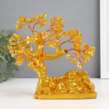 Souvenir Bonsai 