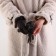 Gloves are female, dimensionless, without insulation, color gray color