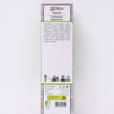 Deren White "Siberik Variegat", 1 pc, tube, spring 2025-1