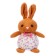 Soft toy "Bunny", on a suction cup, species mix