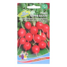 Seeds Radis 