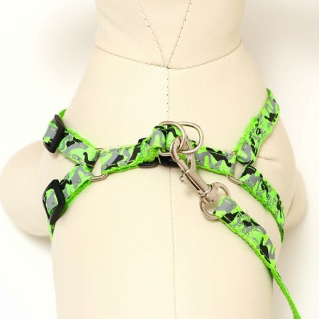 The stolen set "Militari", leash 120 x 1 cm, OG 23-35 cm, khaki-3