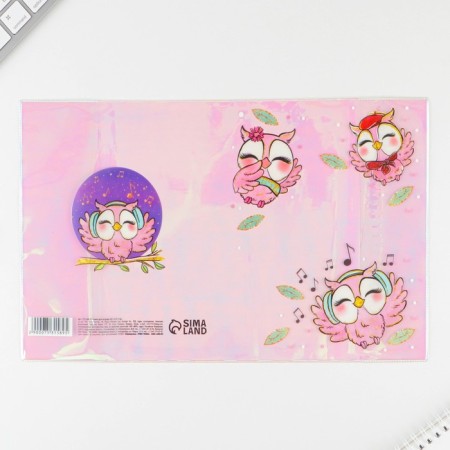 Holographic cover for the “Owls” notebook, 34.7 x 21.1 cm-2