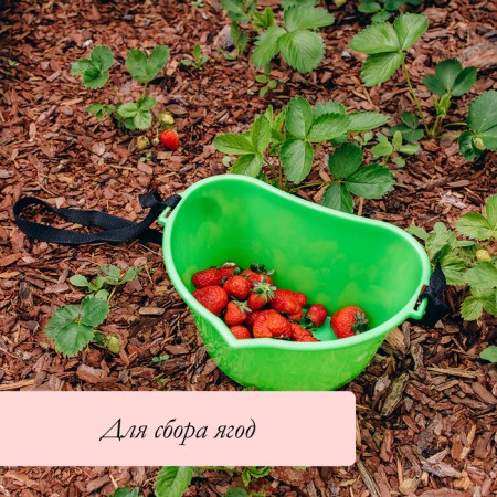 Berry collection capacity, 3 l, green-4