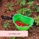 Berry collection capacity, 3 l, green