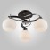 Causten with lasses Larion, 60W, E27, 42x42x23 cm