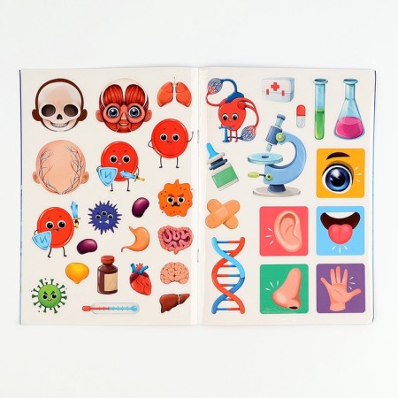 The training set "Human Body", a frame-laying frame and a book with stickers-11