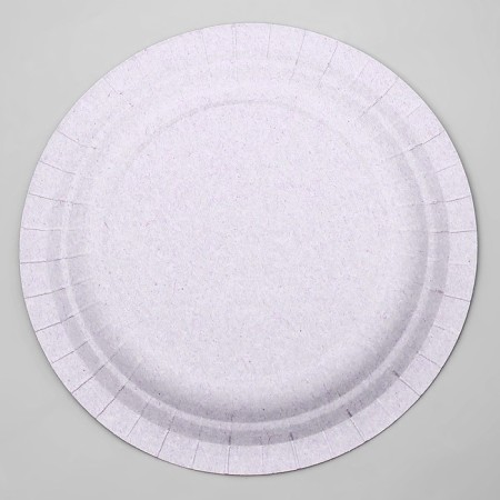 Disposable paper plate "Avocado", 18 cm-2