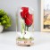 Night -night flask "Two Swan" LED from batteries LR44 8x8x19 cm Risalux