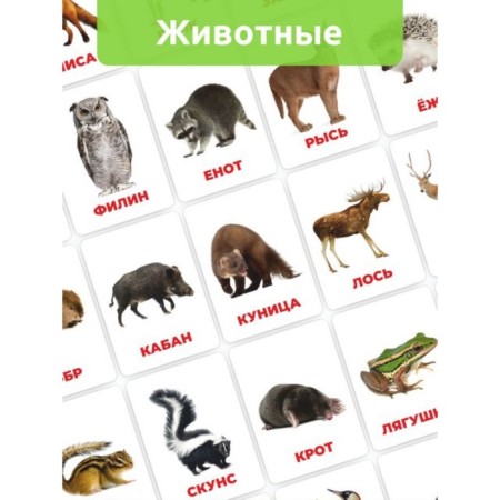Puzzle "Developing cards. Forest animals"-1