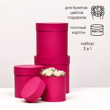 A set of hats 4 in 1 "Raspberry", 20 × 20 –13 × 13 cm