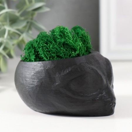 Kashpo concrete "alien" height 5 cm, d-6 cm black with moss (moss green. Stabilizir)-1